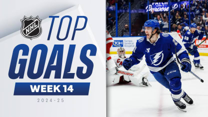 Top Goals from Week 14 of the 2024-25 NHL Season