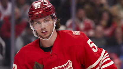 Washington Capitals v Detroit Red Wings