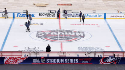Stadium Series Partner Skate