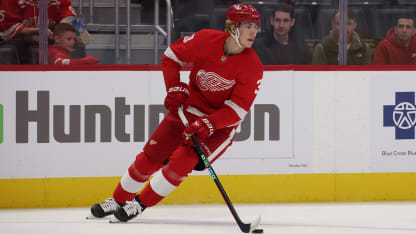 Top prospects for Detroit Red Wings
