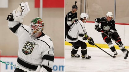 Crazy game of hockey split