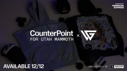 Counterpoint Terms & Conditions