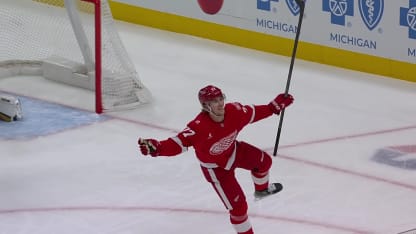 Edvinsson roofs a snap shot