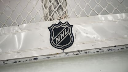 NHL_Shield_logo_on_net