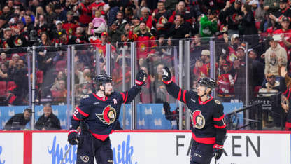 Chabot's short-handed snipe