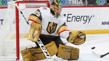 VGK_Fleury