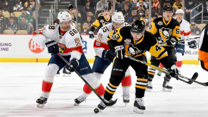 FLA PIT game action 31917