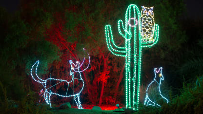 ZooLights_Coyotes