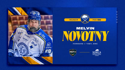 novotnyWeb