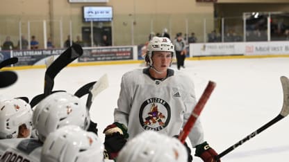 Arizona Coyotes prospects shine at 2023 development camp despite