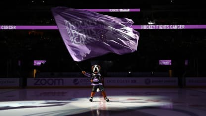 Hockey Fights Cancer Bernie Mascot