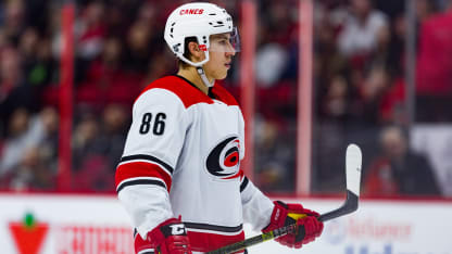 finnish roundup 0106