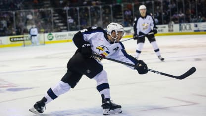 Andrew Agozzino Colorado Eagles prospect Chicago Wolves 2018 October 6