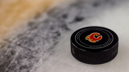 2014_0111_Calgary_Penguins002