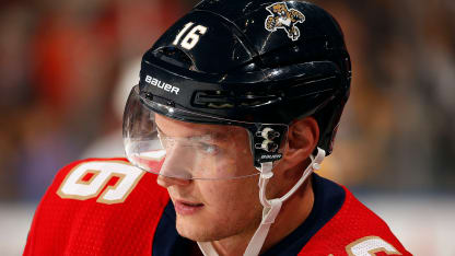 barky weekend in sofla