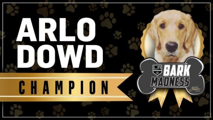 Arlo-Dowd-2017-Bark-Madness-Champion