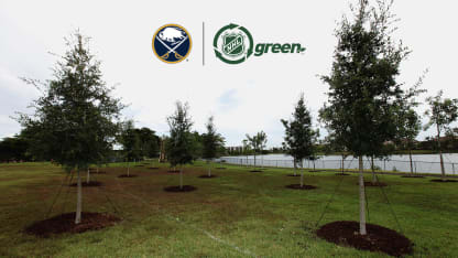 sabres-nhl-green-park-logos