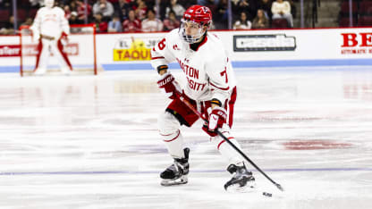Boumedienne setup