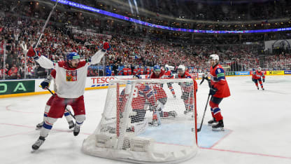 Tomasek Czechia WC