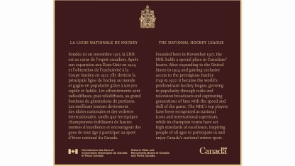 NHL-plaque 11-17