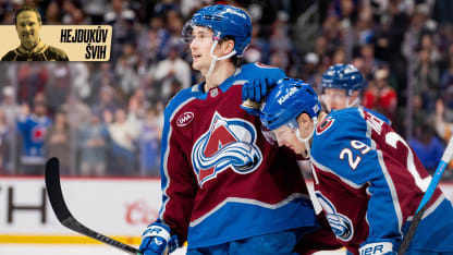 012226 hejduk blog for czech