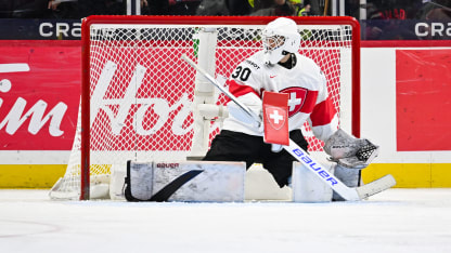 Goalies - International