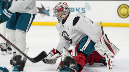 Next Wave Report: November 17