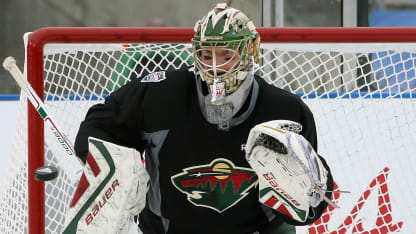 Dubnyk2