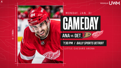 MicrosoftTeams-image (423)