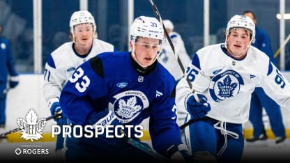The Leaf: Blueprint: Prospects - Details Matter