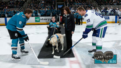 20171222-sharklife-dog