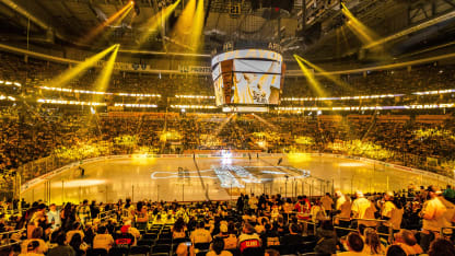 ppg paints arena