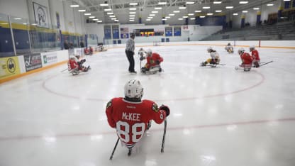 USA hockey sled 6