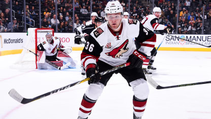 fischercoyotes032117