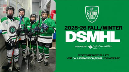 DSMHL FALL 2025-26 Season
