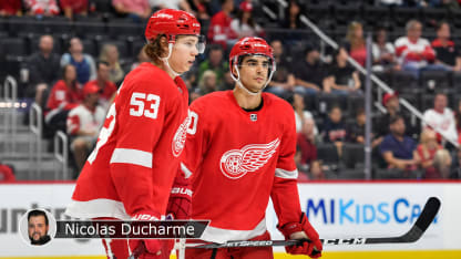 SeiderVelenoDETDucharmeLNH