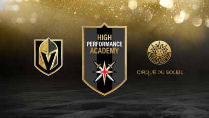 VGK High Performance Academy_Web