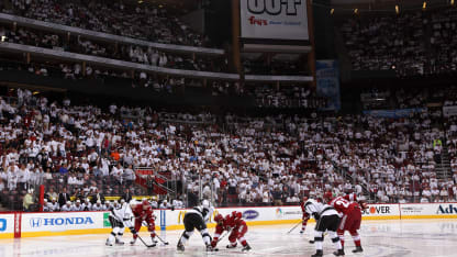 Coyotes white out
