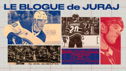 ___New Slaf blog_Dec_LNH