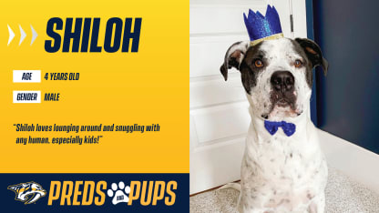 Preds & Pups: Shiloh