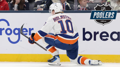 Holmstrom badge poolers