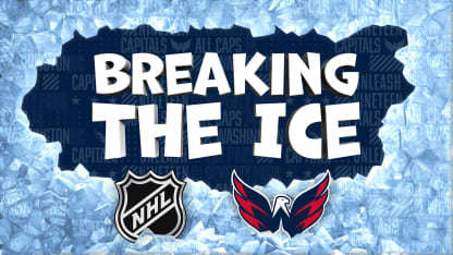 Breaking_the_Ice_logo