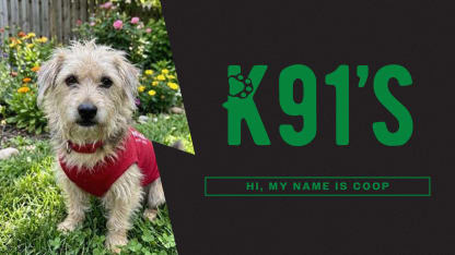 Coop's adoption fees are covered