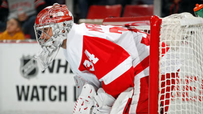 Mrazek_3