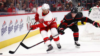 svechnikov red wings