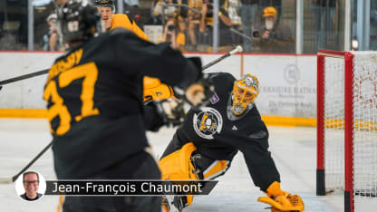 FLEURY BADGE CHAUMONT 1