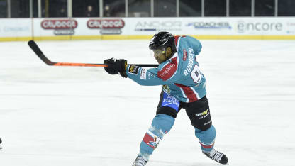 Belfast Giants Ice Hockey