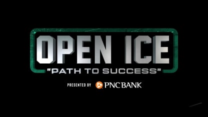 Open Ice: Path To Success