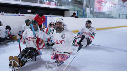 Photo 3 Sled Hockey