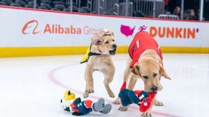 200129_CaptainScout_09